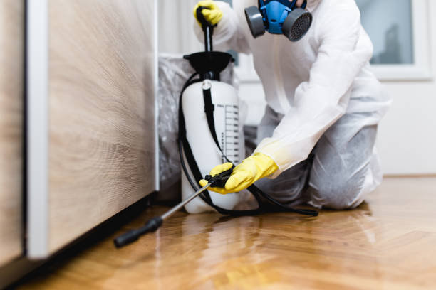 Best Affordable Pest Control Services  in Belleair Beach, FL