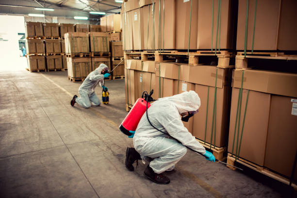Best Mosquito Control Services  in Belleair Beach, FL