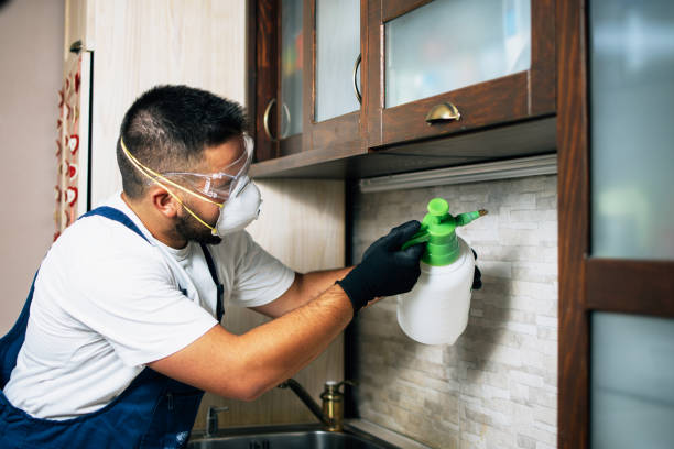 Best Wildlife Control Services  in Belleair Beach, FL