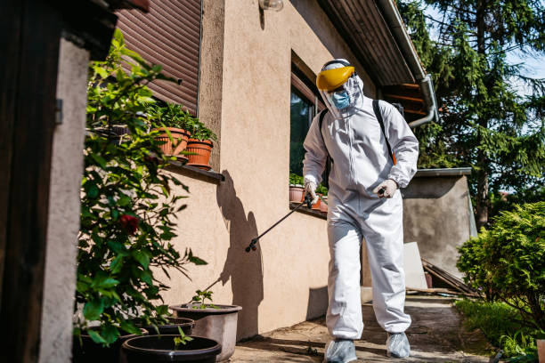 Best Mosquito Control Services  in Belleair Beach, FL