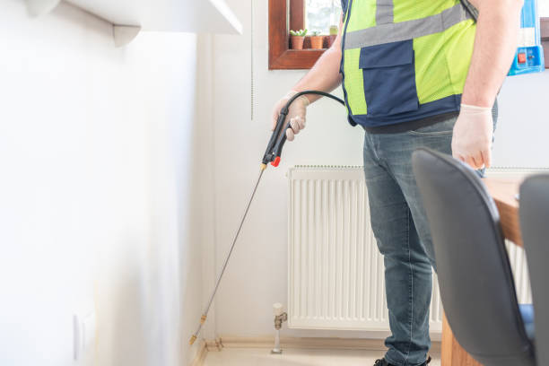 Best Pest Inspection Near Me  in Belleair Beach, FL