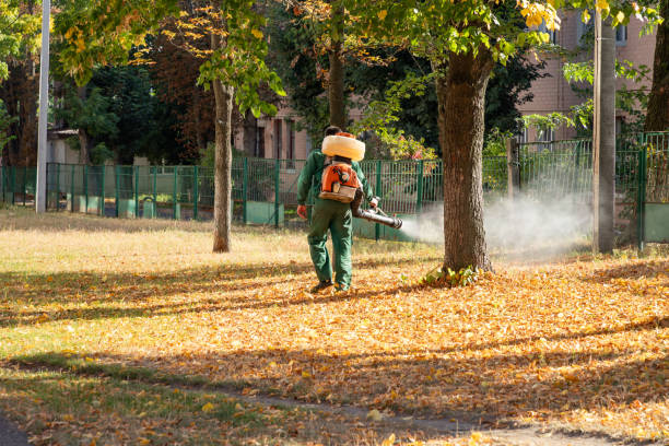 Best Bed Bug Extermination  in Belleair Beach, FL
